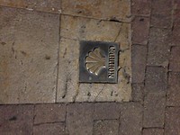 IMG_3741