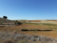 20190908_121345