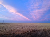 IMG_3751
