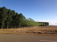 IMG_3767