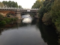 IMG_3775
