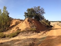 IMG_3831