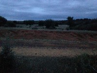 IMG_3850