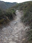 IMG_3895