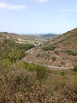 IMG_3898