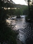 IMG_3907
