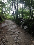 IMG_3944