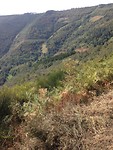IMG_3958