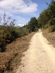 IMG_3961