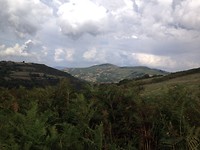IMG_3963