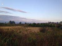 IMG_3910