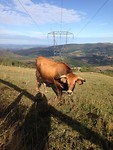 IMG_3978