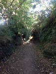 IMG_3984
