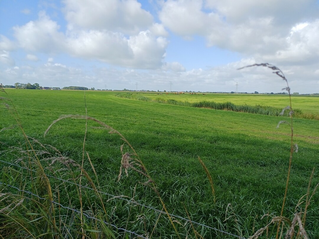 02 winsum groningen 3