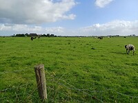 02 winsum groningen 5