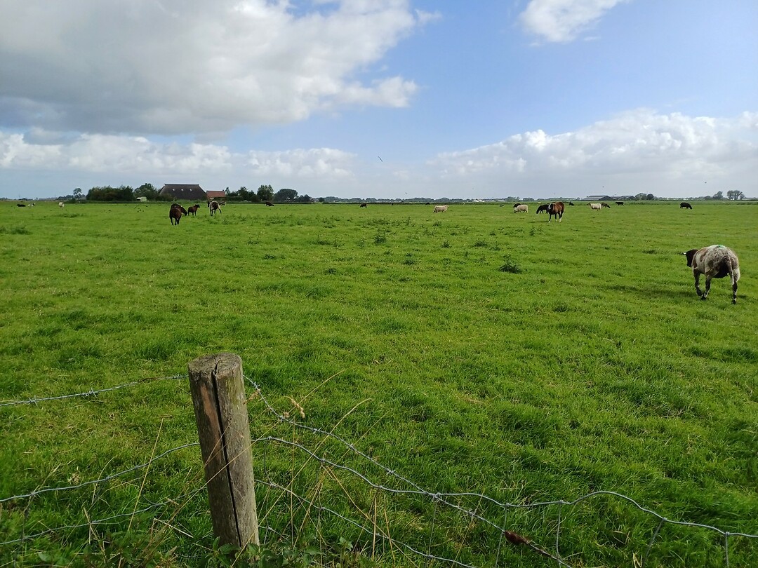 02 winsum groningen 5