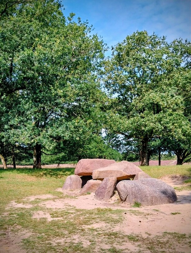 04 zuidlaren rolde 1 hunebed