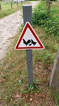04 zuidlaren rolde 3 overstekend wild