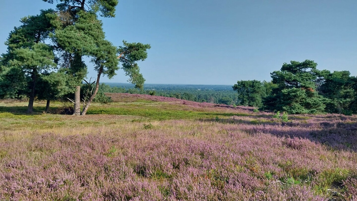 10 Ommen Hellendoorn 2 panorama