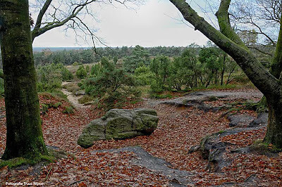 10 Ommen Hellendoorn 4 de dikke steen