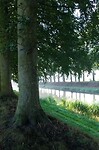 12 Holten Laren 1 kanaal met beuken