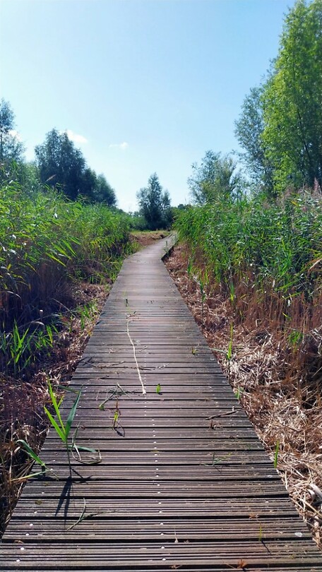 15 Zelhem Zeddam vlonderpad