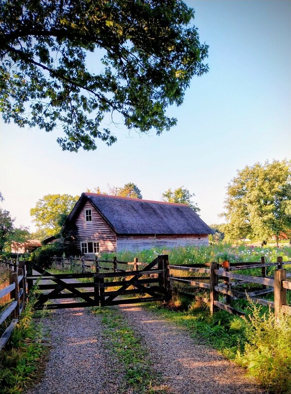 15 Zelhem Zeddam boerderij