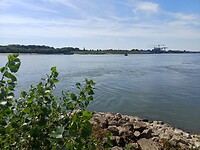 16 Zeddam Millingen 4 Pontje rijn