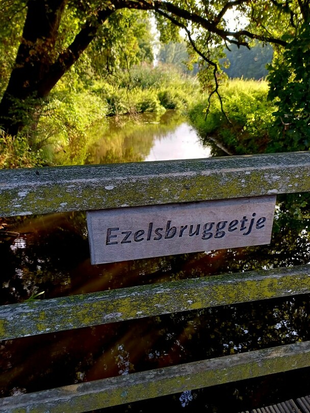 20 Vierlingsbeek Swolgen 2 ezelsbruggetje