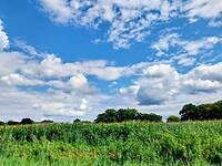 20 Vierlingsbeek Swolgen 1 wolkenspel