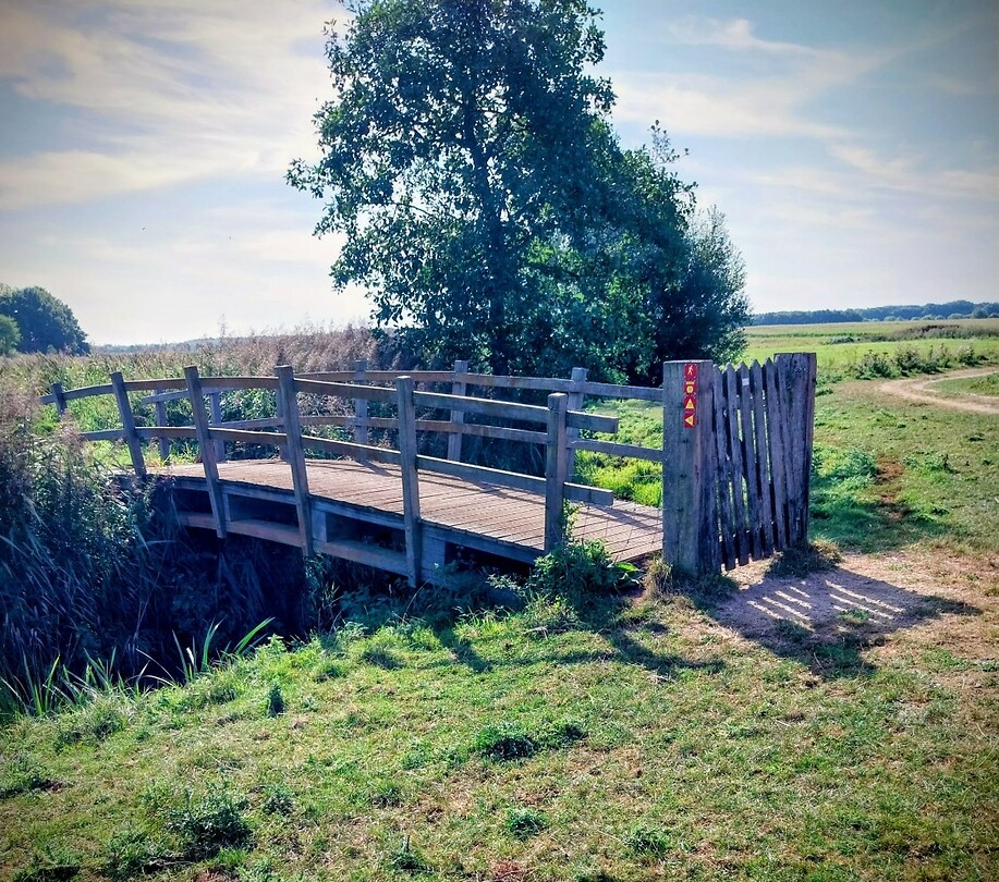 23 Swalmen Montfort 2 brugje