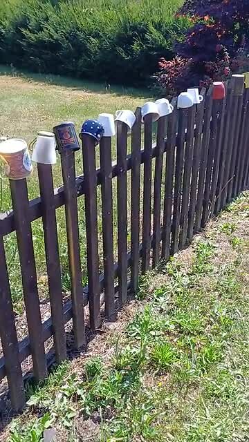 Koffiebekers in Tsjechië