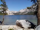 Yosemity park