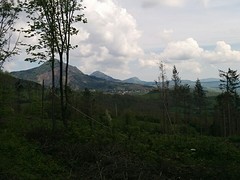 Passo Della futa, 910 hoog