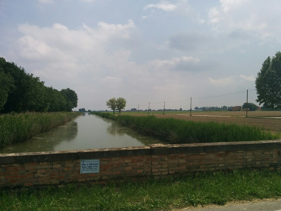 Kanaal in povlakte