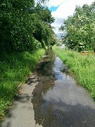 de Rijn heeft bezit genomen van mijn fietspad