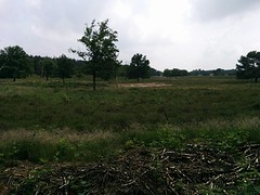 Nederland is ook mooi