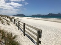 IMG_4174