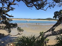 Strand Ngunguru