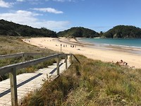 Superwit strand Matapouri