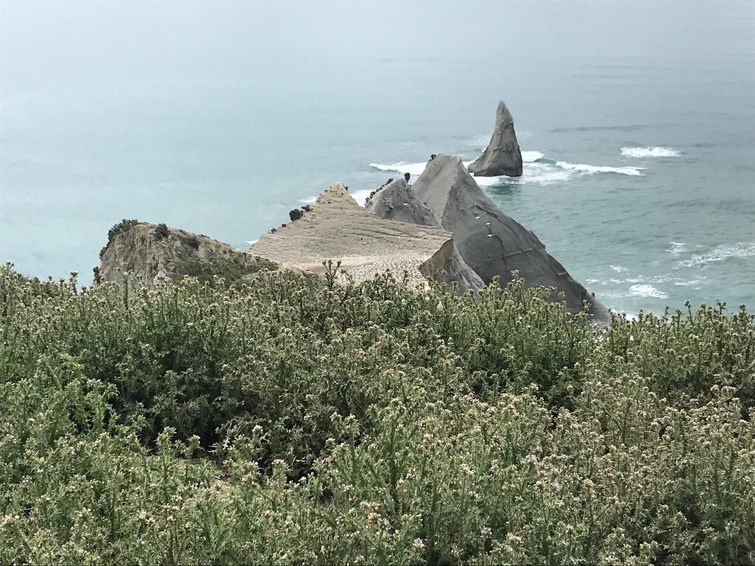 Pinnacle bij Clifton beach