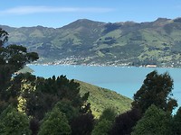 Uitzicht op Akaroa vanaf de Alpaca farm