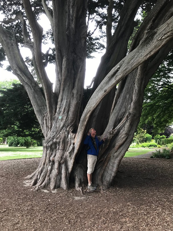 Enorme bomen, park bestond al in 1870