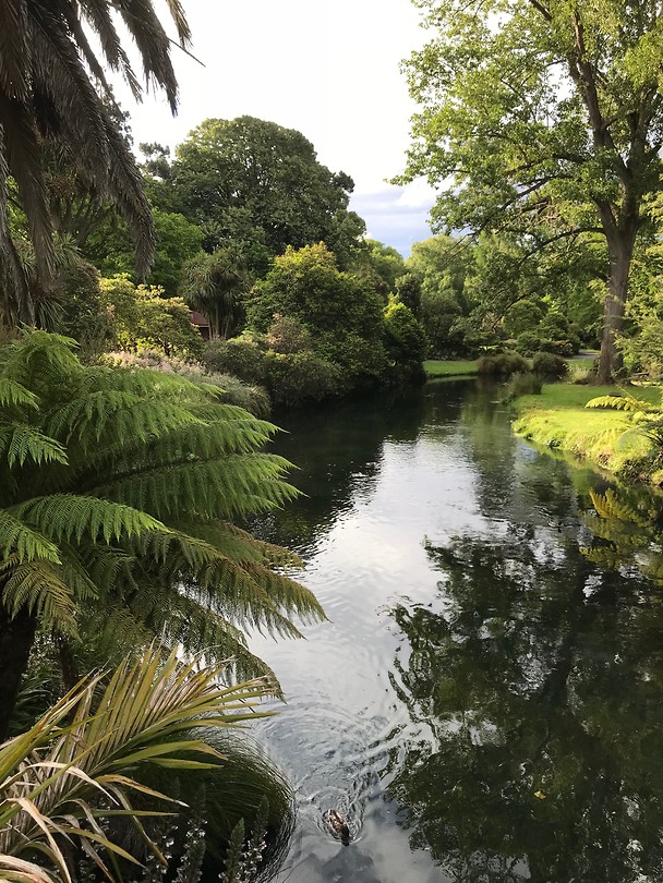 Botanische tuin van Christchurch
