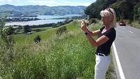 Fototje van Akaroa