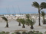 DSCN0229