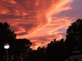 DSCN0241