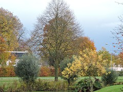DSCN3554