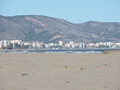 SP2017-034