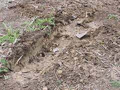 SP2017-048